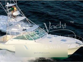 Cabo yachts 45 express