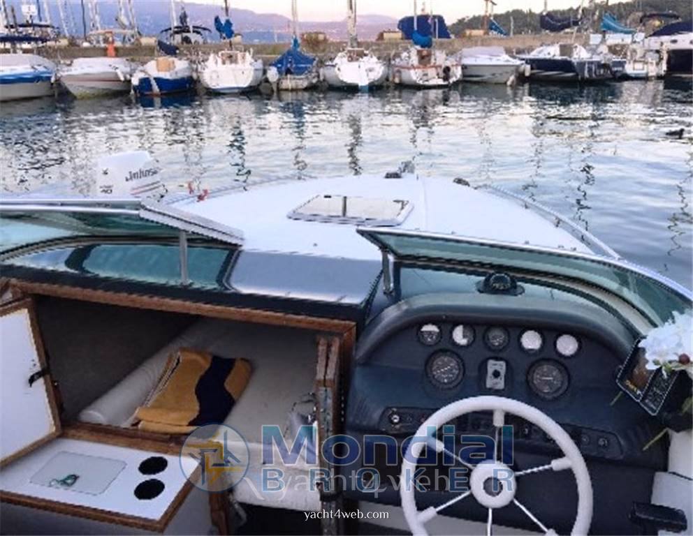 Sea ray 220 ov Motorboot gebraucht zum Verkauf