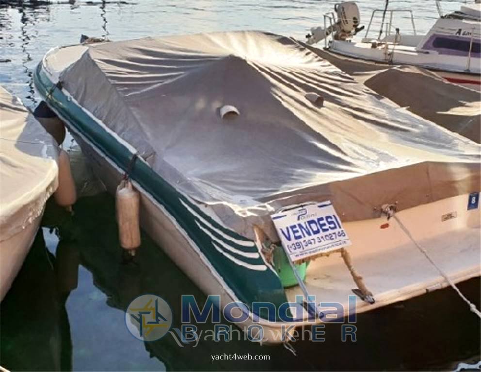 Sea ray 220 ov motor boat