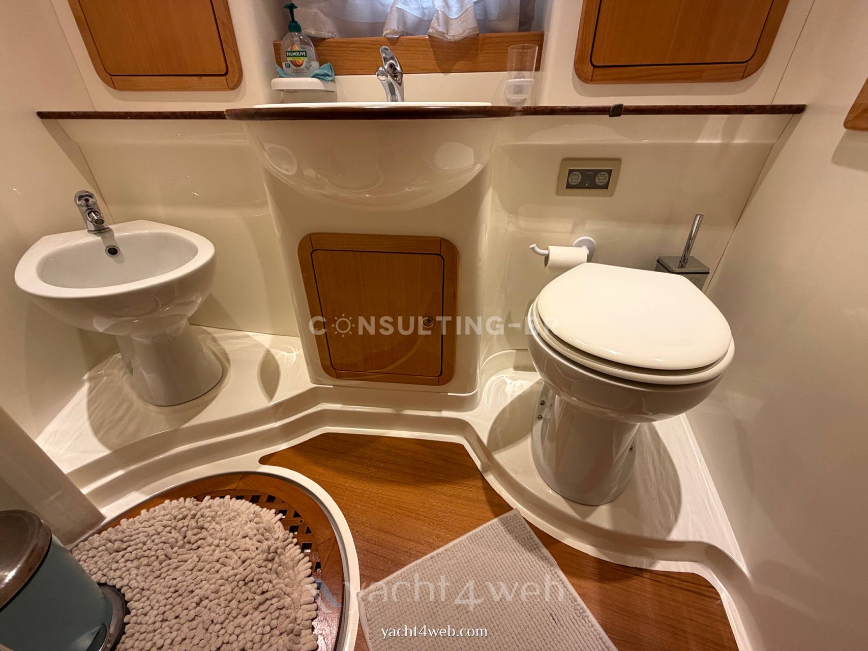 Raffaelli Compass rose Motorboot gebraucht zum Verkauf