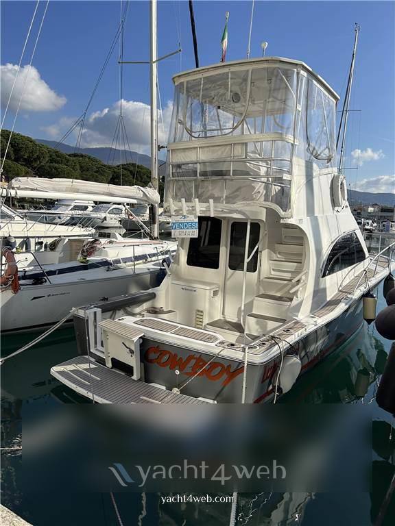 Luhrs 32 fly Motor boat used for sale