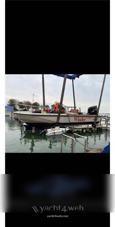 Boston whaler Outrage 19 Barca a motore usata in vendita