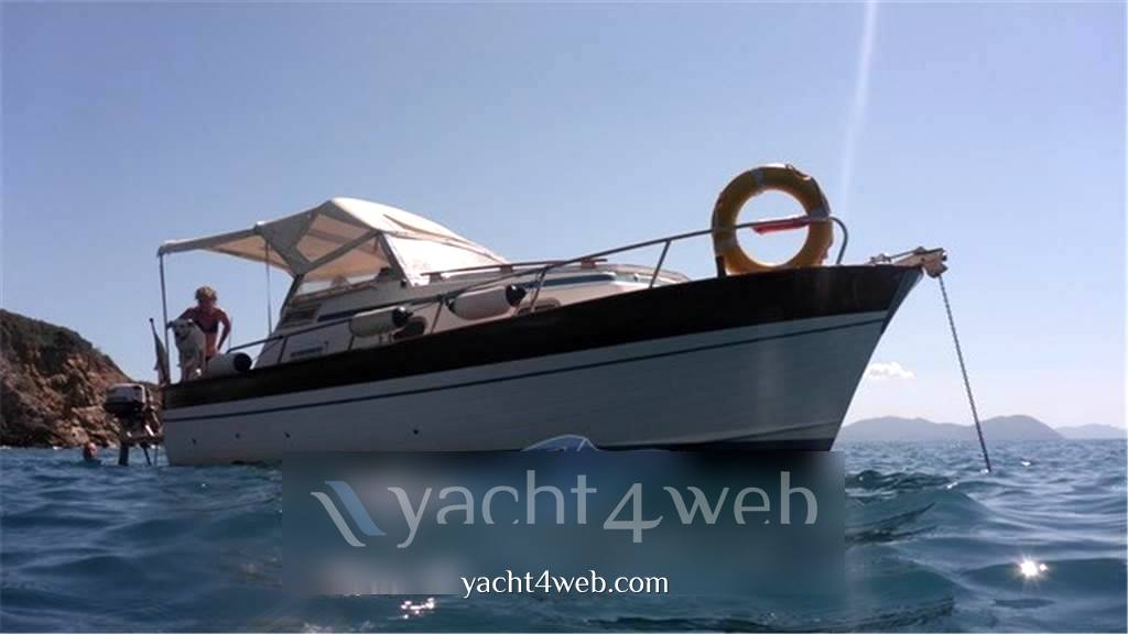 Apreamare Smeraldo 7 Моторная лодка используется для продажи