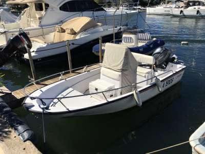 Boston whaler Boston whaler Boston 15 dauntless