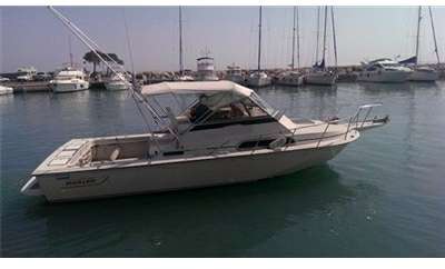 Boston whaler Boston whaler Boston 27 offshore