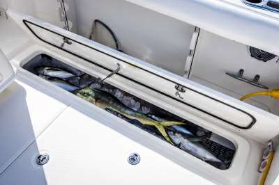 Boston whaler Boston whaler Boston 350 outrage