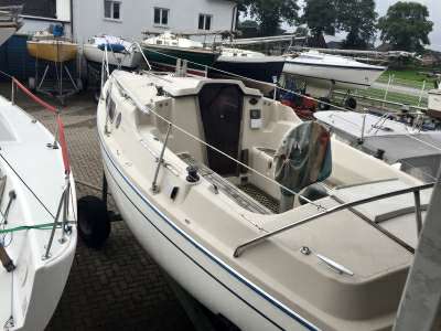 Dehler Dehler 76 delanta