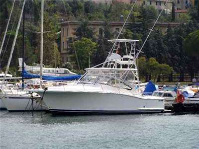 Luhrs Luhrs 31