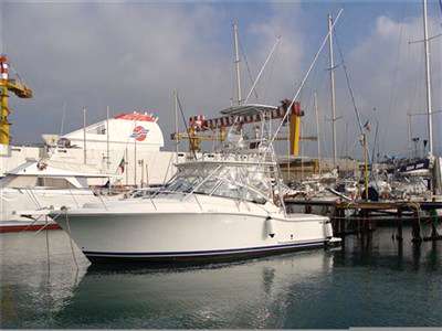 Luhrs Luhrs 31