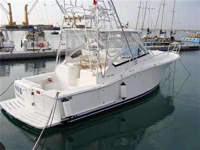 Luhrs Luhrs 31