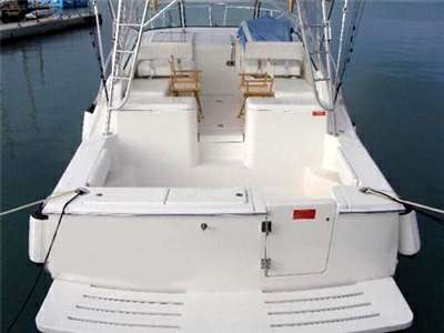 Luhrs Luhrs 31