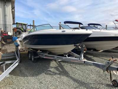 SEA RAY SEA RAY 190 bow rider