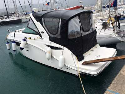 SEA RAY SEA RAY 260 sundancer