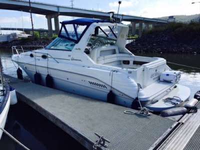 SEA RAY SEA RAY 300 sundancer