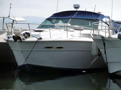 SEA RAY SEA RAY 390