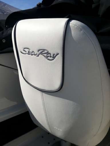 Sea ray Sea ray 190 sport