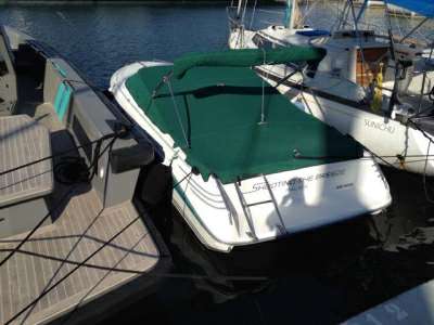 Sea ray Sea ray 200 sr