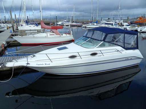 Sea ray Sea ray 250 sundancer