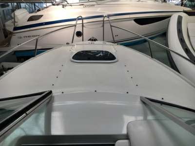 Sea ray Sea ray 255 sundancer