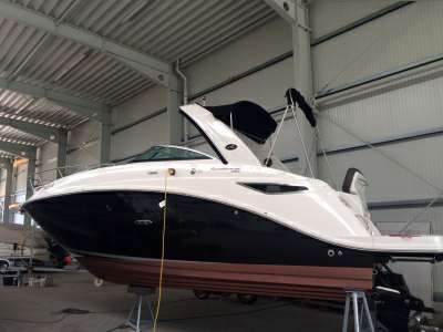 Sea ray Sea ray 260 sundancer