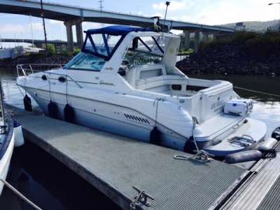 Sea ray Sea ray 300 sundancer