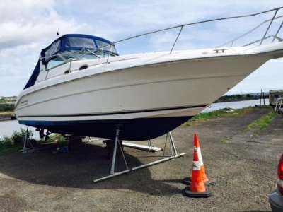 Sea ray Sea ray 300 sundancer