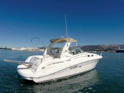 Sea ray Sea ray 375 sundancer