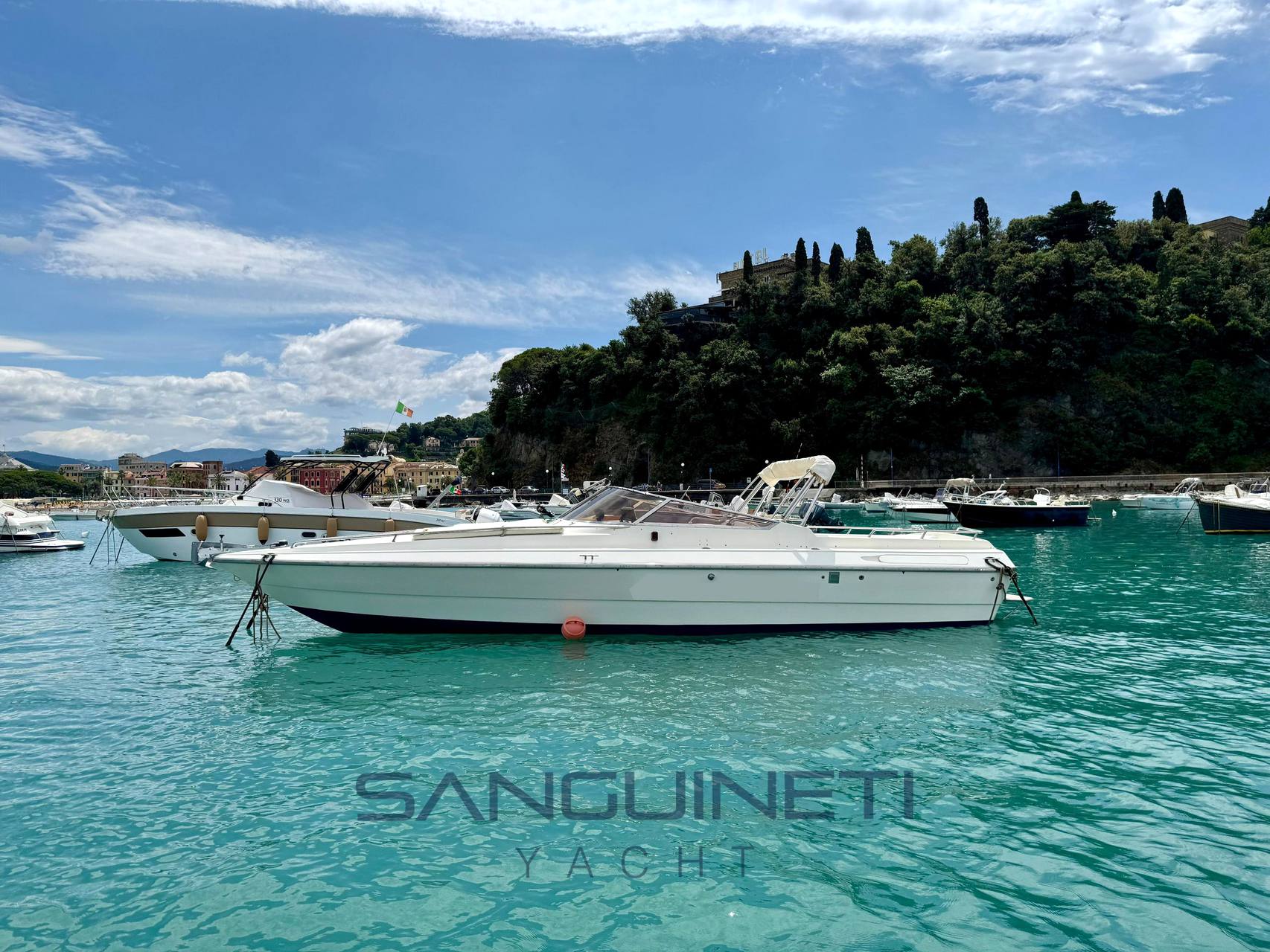 Molinari Falcon 29