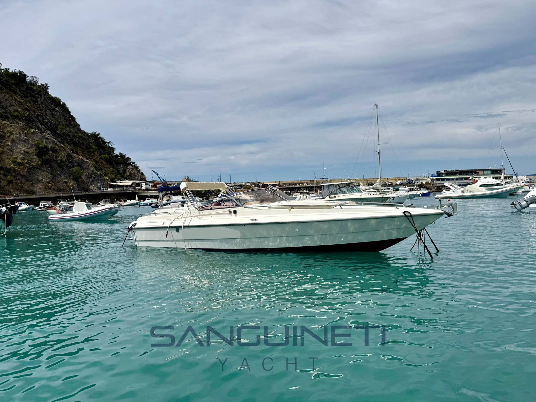 Molinari Falcon 29