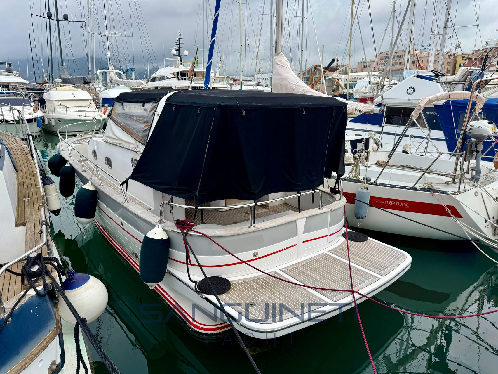 Maresca Sparviero