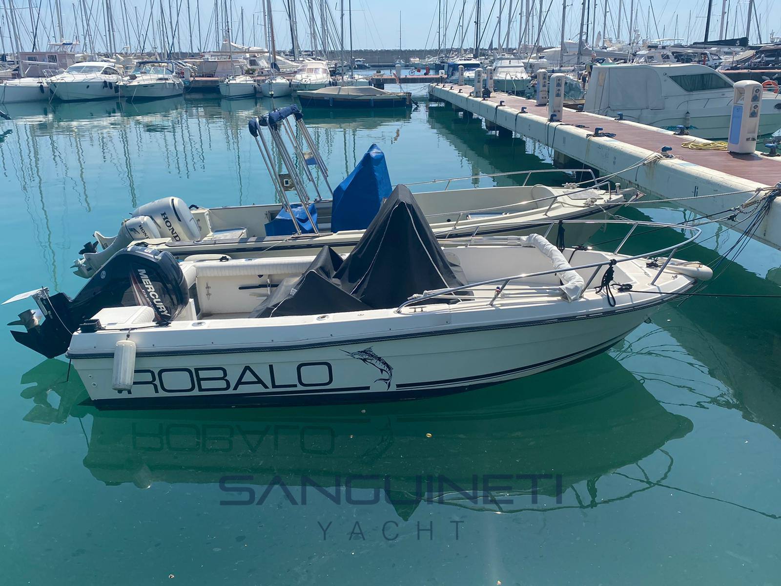Robalo 1820 Motor boat used for sale