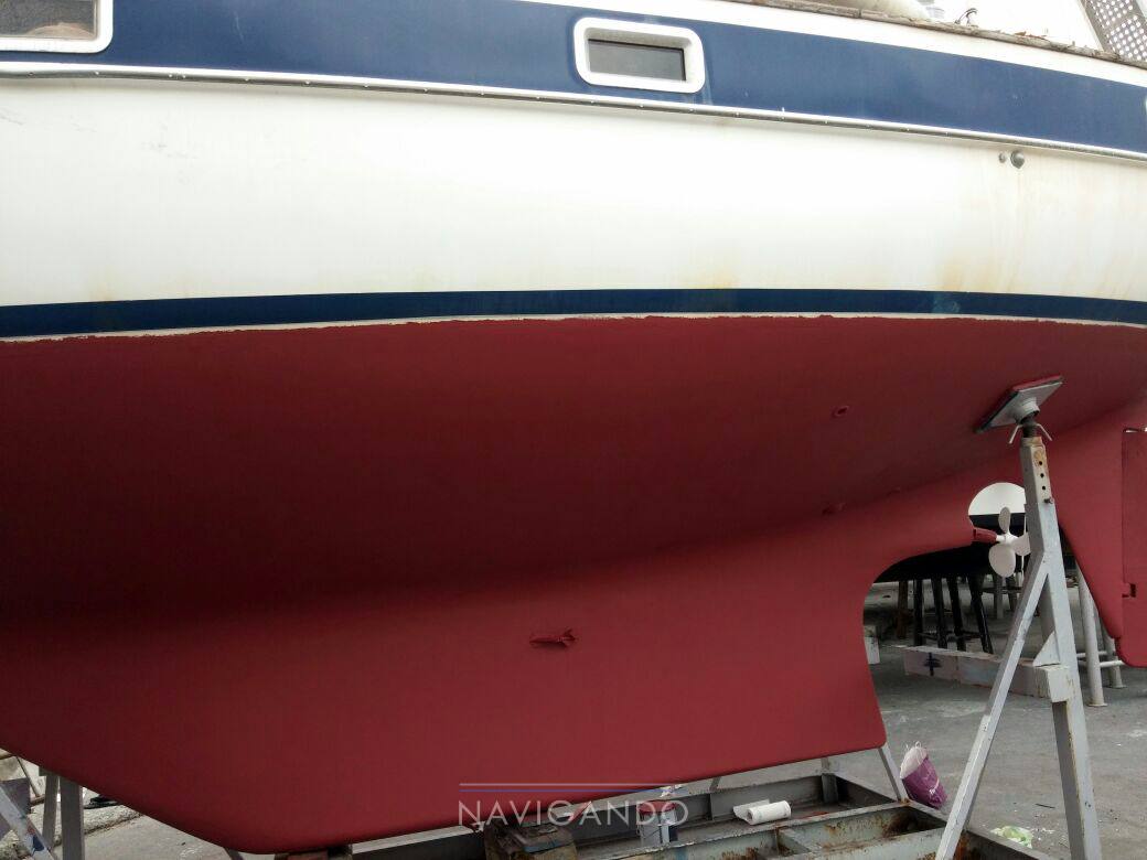 Hallberg rassy 352 - Фото Неклассифицированные 4
