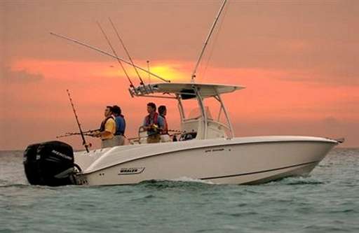 Boston whaler Boston whaler 270 outrage