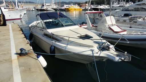 Sea ray Sea ray 250 da