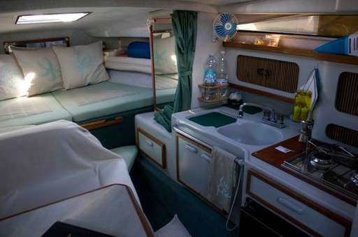 Sea ray Sea ray 290 da