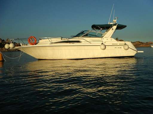 Sea ray Sea ray 290 da