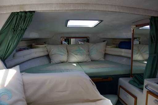 Sea ray Sea ray 290 da