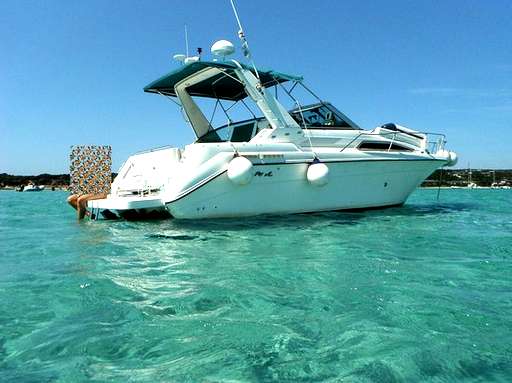 Sea ray Sea ray 290 da