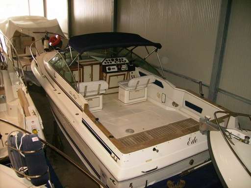 Sea ray Sea ray 270 amberjack