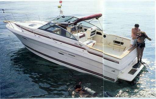 Sea ray Sea ray 270 amberjack