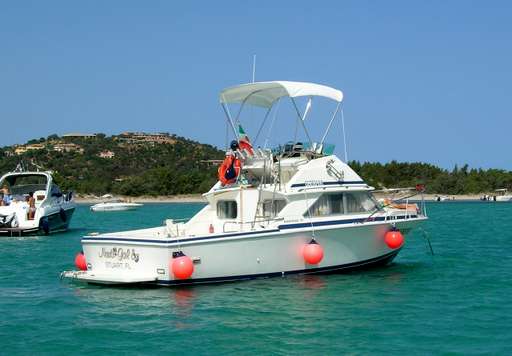 Bertram Bertram 28 fly cruiser