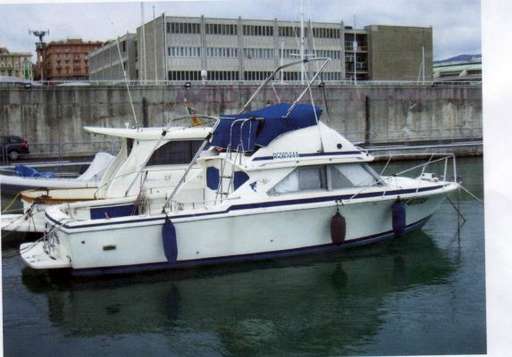 Bertram Bertram 28' fly cruiser