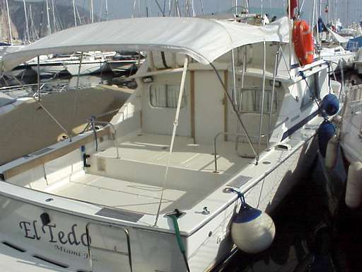 Bertram Bertram 28' fly cruiser