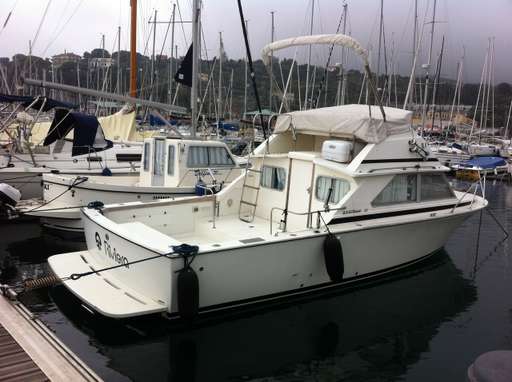 Bertram Bertram 28' fly cruiser