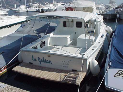 Bertram Bertram 31' fly cruiser