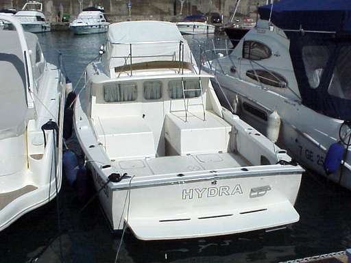 Bertram Bertram 31' fly cruiser