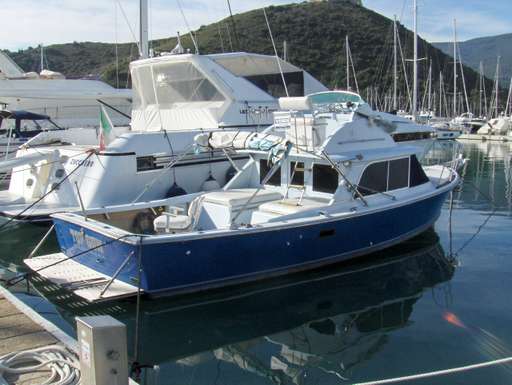 Bertram Bertram 31' fly cruiser