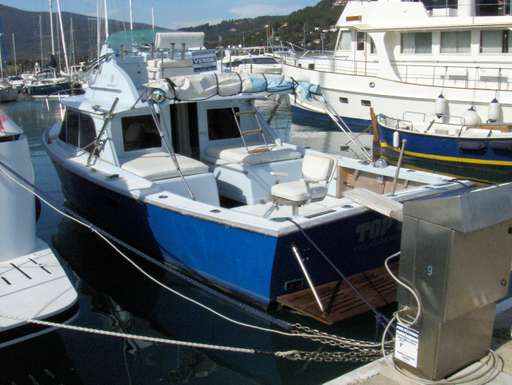 Bertram Bertram 31' fly cruiser