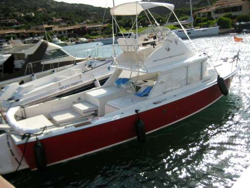 Bertram Bertram 31' fly sport fisherman