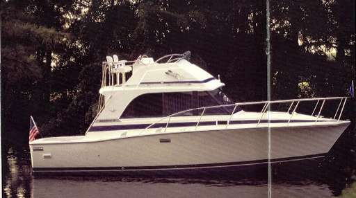 Bertram Bertram 33' convertible